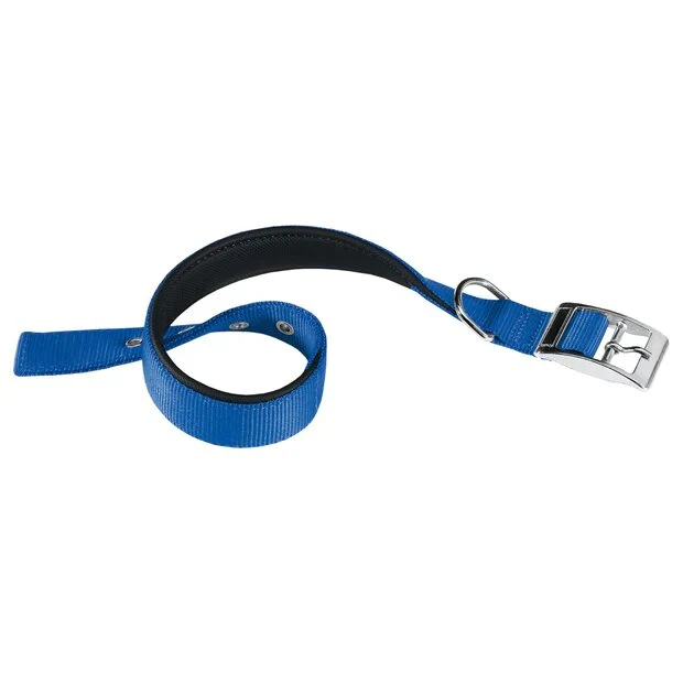 Ferplast Daytona C Collare In Nylon Con Soffice Imbottitura Blu Per Cani C15/35