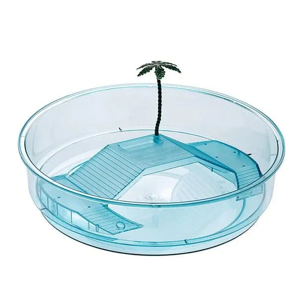 Ferplast Oasi Azzurra Vaschetta Di Plastica Per Piccole Tartarughe