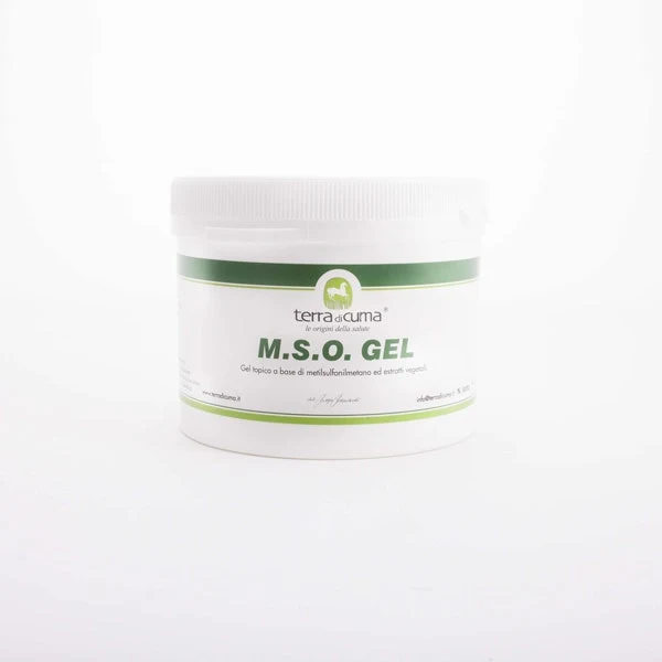 Mso Gel Per Equini 500g