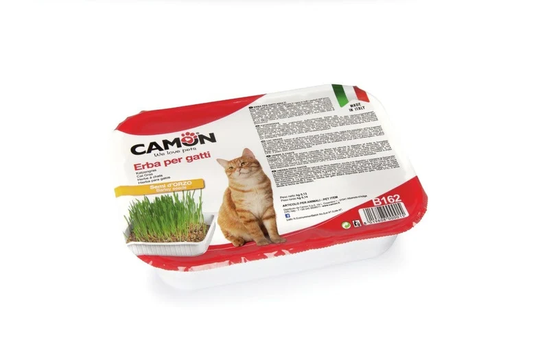 Camon Erba Per Gatti con Semi Di Orzo