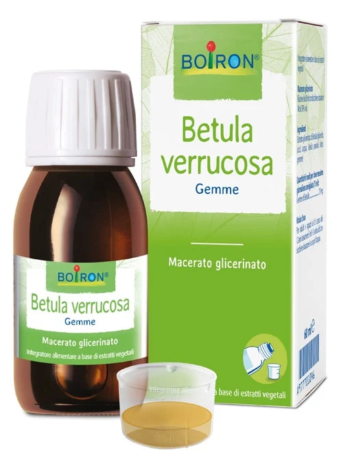 Boiron Betula Verrucosa Macerato Glicerinato 60ml