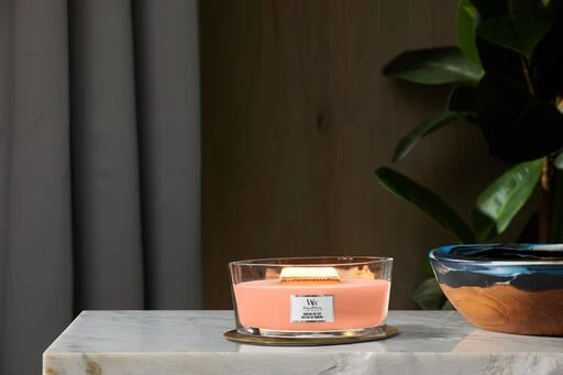 Woodwick - Candella Ellipse Manuka Nectar