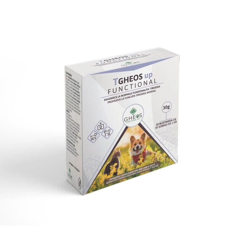 TGHEOS UP FUNCTIONAL 30BUST