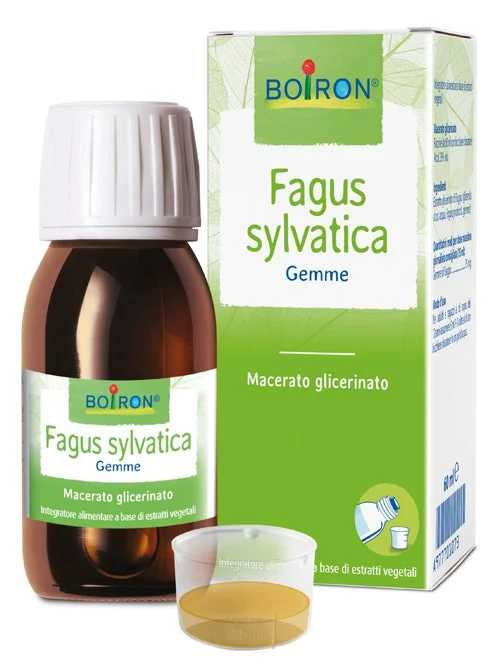 Boiron Fagus Sylvatica Macerato Glicerinato 60ml