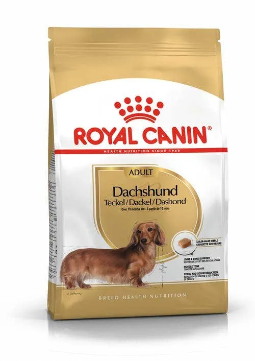 Royal Canin Crocchette Per Cani Bassotto Dachshund Adulti Sacco 1,5kg