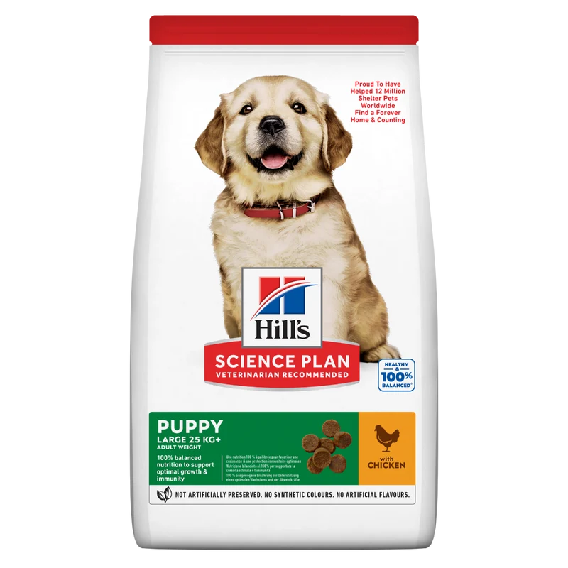 Hill's Science Plan Large Breed Puppy Crocchette Con Pollo Per Cuccioli Sacco 14,5Kg