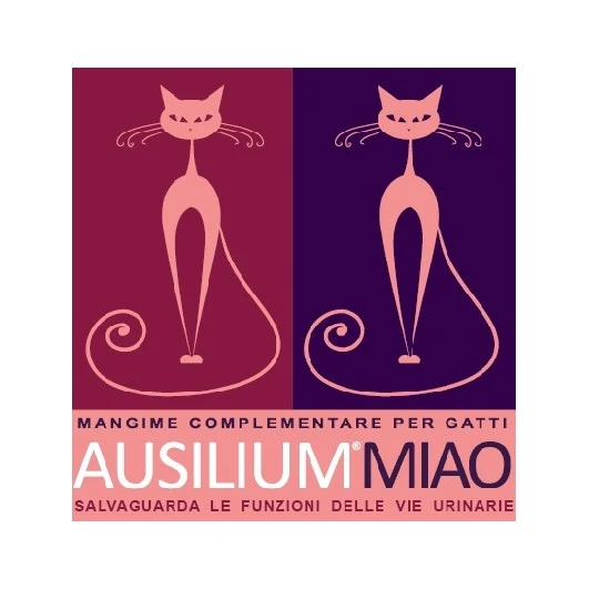 Ausilium Miao Mangime Complementare Per Cistite Gatti 300g Con Misurino