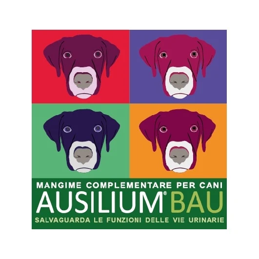 Ausilium Bau Mangime Complementare Per Cistite Cani 300g Con Misurino
