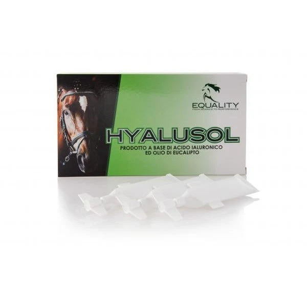 Hyalusol Aerosol Ambientale Per Equini 10 Flaconi Monodose Da 8ml