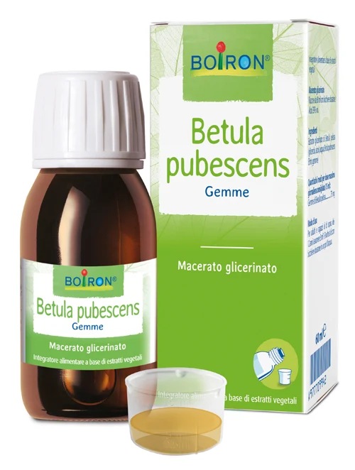 Betula pubesc boiron macerato glicerico 60 ml