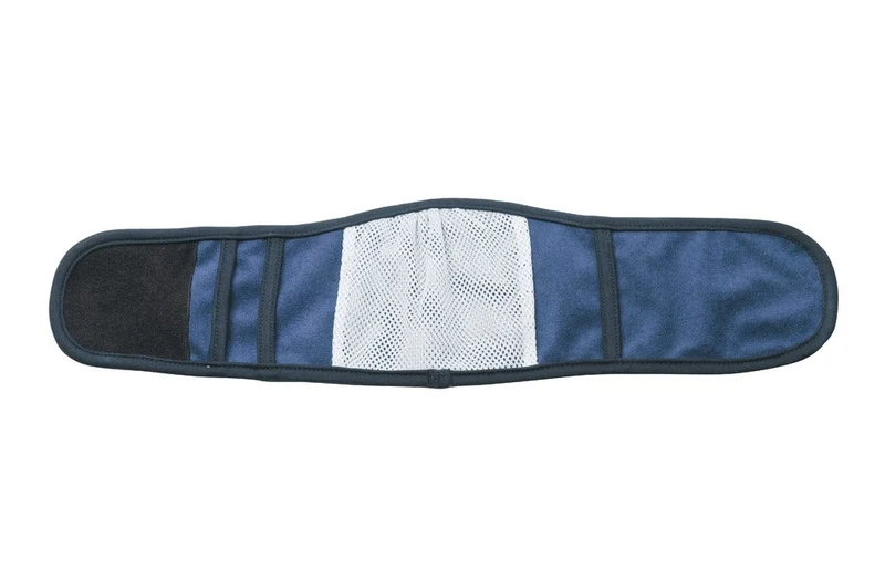Camon Fascia Igienica per Cani Maschi Blu Taglia 5