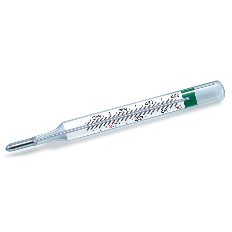 Prontex Preciso Natural Termometro Clinico Ecologico 1 Pezzo