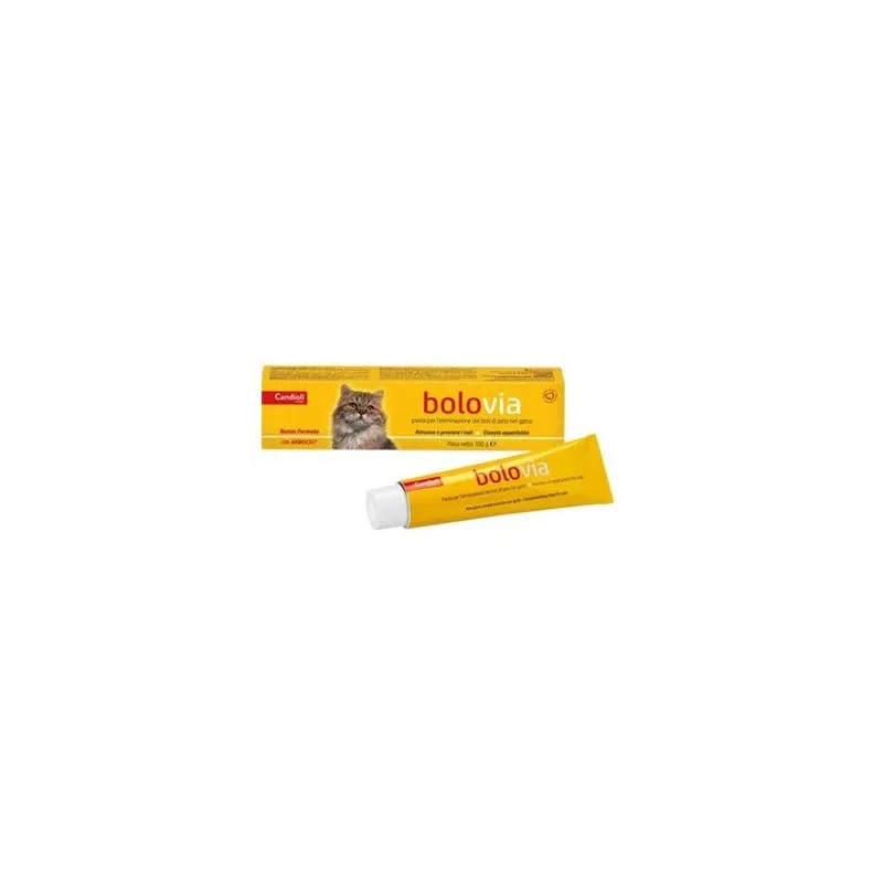 Bolo Via Pasta Gatti 100g - Delizioso Snack per Gatti